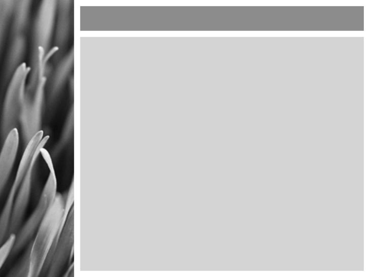 Power Of Grey Powerpoint Ppt Templates