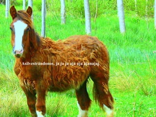 Asilvestrándonos, ja ja ja aja aja ajanajaj
 