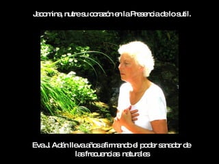 J c m , nutres c ra n e laP s nc d los
 a o ina      u o zó n     re e ia e util.




EvaJ Ad n lle a sa a oe p d r s na o d
    . á va ño firm nd l o e a d r e
            la fre ue ia na le
              s c nc s tura s
 