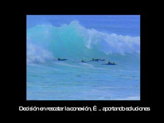 De is n e re c ta lac ne n, … .. a o nd s luc ne
  c ió n s a r       o xió        p rta o o io s
 