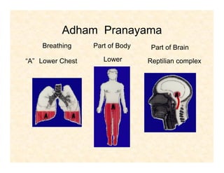 Adham Pranayama
“A”
Breathing Part of Body Part of Brain
Lower Chest Lower Reptilian complex
 