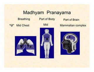 Madhyam Pranayama
“U”
Breathing Part of Body Part of Brain
Mid Chest Mid Mammalian complex
 