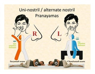 Uni-nostril / alternate nostril
Pranayamas
Suryanadi asana Chandranadi asana
 