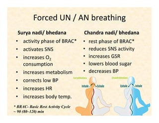 Forced UN / AN breathing
Surya nadi/ bhedana
• activity phase of BRAC*
• activates SNS
• increases O2
consumption
• increases metabolism
• corrects low BP
• increases HR
• increases body temp.
Chandra nadi/ bhedana
• rest phase of BRAC*
• reduces SNS activity
• increases GSR
• lowers blood sugar
• decreases BP
* BRAC- Basic Rest Activity Cycle
~ 90 (80–120) min
 