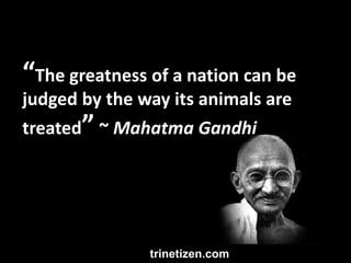 “The greatness of a nation can be 
judged by the way its animals are 
treated” ~ Mahatma Gandhi 
trinetizen.com 
trinetize...