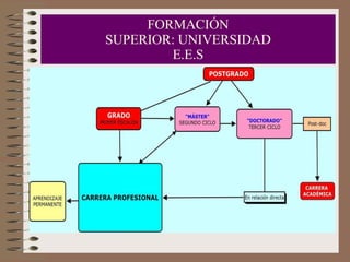FORMACIÓN SUPERIOR: UNIVERSIDAD E.E.S 