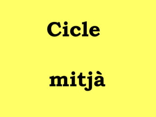 Cicle
mitjà
 