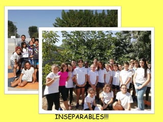 INSEPARABLES!!!
 