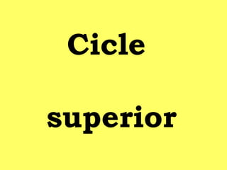 Cicle
superior
 