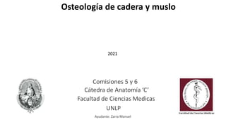 Comisiones 5 y 6
Cátedra de Anatomía ‘C’
Facultad de Ciencias Medicas
UNLP
Ayudante: Zarra Manuel
2021
Osteología de cadera y muslo
 