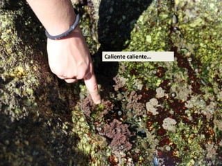 Caliente caliente…
 