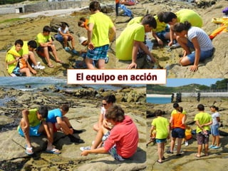 Power p. charcas intermareales