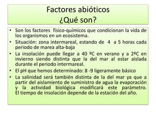 • Son los factores físico-químicos que condicionan la vida de
los organismos en un ecosistema.
• Situación: zona intermareal, estando de 4 a 5 horas cada
periodo de marea alta-baja
• La insolación puede llegar a 40 ºC en verano y a 2ºC en
invierno siendo distinta que la del mar al estar aislada
durante el periodo intermareal.
• El pH que hemos determinado: 8 -9 ligeramente básico
• La salinidad será también distinta de la del mar ya que a
partir del aislamiento de suministro de agua la evaporación
y la actividad biológica modificará este parámetro.
El tiempo de insolación depende de la estación del año.
Factores abióticos
¿Qué son?
 
