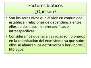 Factores bióticos
¿Qué son?
• Son los seres vivos que al vivir en comunidad
establecen relaciones de dependencia entre
ellos de dos tipos : interespecíficas e
intraespecíficas
• Consideramos que las algas rojas son pioneros
en la colonización del ecosistema ya que sobre
ellos se afianzan los detritívoros y hervíboros (
fitófagos)
 