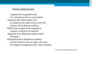 Sistema cardiovascular:

   -Augment de la grandària del
    cor i del grossor de les seues parets.
-Augment del volum sistólic tant
    en situacions de repòs com en activitat
    intensa i de la despesa cardíaca
-Millora de la capacitat de transportar
    oxigene i nutrients als músculs.
-Augment de la diferència arteriovenosa
    d'oxigene.
-Disminució de la freqüència cardíaca
    tant en l'exercici com en repòs, així com
    els temps de recuperació dels valors normals.

                                                    ( punxar damunt la imatge del cor )
 