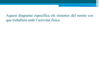 Aquest diagrama especifica els sistemes del nostre cos
que treballem amb l’activitat fisica
 