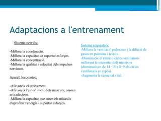 Adaptacions a l'entrenament
   Sistema nerviós:
                                                 Sistema respiratori:
                                                 -Millora la ventilació pulmonar i la difusió de
-Millora la coordinació.
                                                 gasos en pulmons i teixits.
-Millora la capacitat de suportar esforços.
                                                 -Disminueix el ritme o cicles ventilatoris
-Millora la concentració.
                                                 millorant la intensitat dels mateixos
-Millora la qualitat i velocitat dels impulsos
                                                 (disminueixen de 14−15 a 8−9 els cicles
nerviosos.
                                                 ventilatoris en repòs).
                                                 -Augmenta la capacitat vital.
Aparell locomotor:

-Afavoreix el creixement.
-Afavoreix l'enfortiment dels músculs, ossos i
articulacions.
-Millora la capacitat que tenen els músculs
d'aprofitar l'energia i suportar esforços.
 