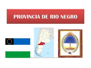 PROVINCIA DE RIO NEGRO
 