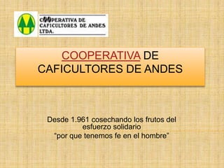 COOPERATIVA DE CAFICULTORES DE ANDES Desde 1.961 cosechando los frutos del esfuerzo solidario “por que tenemos fe en el hombre” 