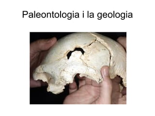 Paleontologia i la geologia
 