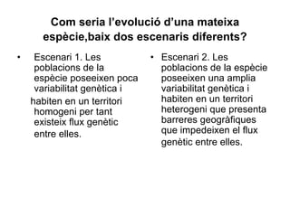 Com seria l’evolució d’una mateixa
      espècie,baix dos escenaris diferents?
•    Escenari 1. Les           • Escenari 2. Les
     poblacions de la            poblacions de la espècie
     espècie poseeixen poca      poseeixen una amplia
     variabilitat genètica i     variabilitat genètica i
    habiten en un territori      habiten en un territori
     homogeni per tant           heterogeni que presenta
     existeix flux genètic       barreres geogràfiques
     entre elles.                que impedeixen el flux
                                 genètic entre elles.
 