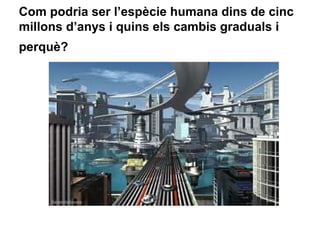 Com podria ser l’espècie humana dins de cinc
millons d’anys i quins els cambis graduals i
perquè?
 