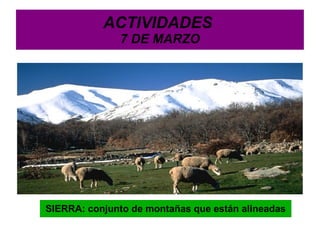 Dinámica de grupos : Técnicas de aprendizaje cooperativo. 