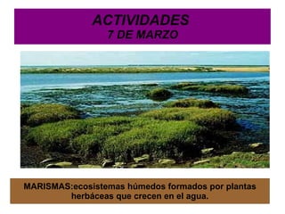 C3:  Conocimiento e interacción con el mundo físico.  