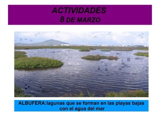 TEMPORALIZACIÓN PRIMERA SESIÓN 7 DE MARZO SEGUNDA SESIÓN 8 DE MARZO TERCERA SESIÓN 10 DE MARZO CUARTA SESIÓN 14 DE MARZO QUINTA SESIÓN 15 DE MARZO SEXTA SESIÓN 17 DE MARZO 