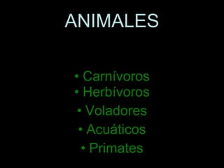 ANIMALES ,[object Object],[object Object],[object Object],[object Object],[object Object]