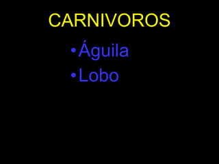 CARNIVOROS Águila Lobo 