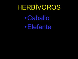 HERBÍVOROS Caballo Elefante 