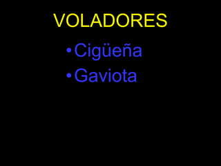 VOLADORES Cigüeña Gaviota 