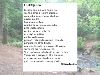 En el Bejarano
La tarde aquí sin copa donde ría
sueño o amor a tu alma sedienta,
cuya sed ni áureo vino ni alta luna
apagar pueden.
Sólo de un confuso
ruiseñor se derrama en melodía
pena igual a la tuya.
Aquí, a tus pies, desborda
el arroyo su música
por los avellanares,
pero aún más nocturno es el recuerdo
por donde tu alma divaga,
no esparciendo lo mismo que el torrente
su música por frescas galerías,
Si no umbrosa y callada, sin un rayo de luna.
Y escuchar el arroyo; en él te reconoces;
el arroyo que no atiende a un canto
y se cree a sí mismo oscuro y mudo.
Ricardo Molina
 