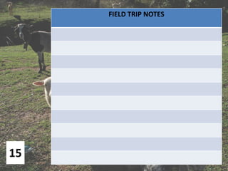 15
FIELD TRIP NOTES
 