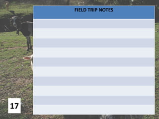 17
FIELD TRIP NOTES
 
