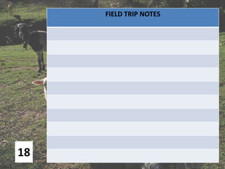 18
FIELD TRIP NOTES
 