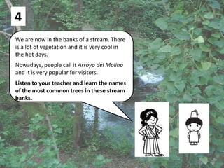 4
We are now in the banks of a stream. There
is a lot of vegetation and it is very cool in
the hot days.
Nowadays, people call it Arroyo del Molino
and it is very popular for visitors.
Listen to your teacher and learn the names
of the most common trees in these stream
banks.
 