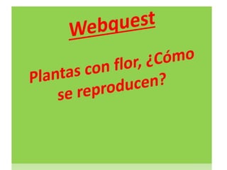 websquest de: Las plantas ¿como se repruducen?
