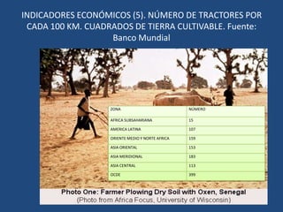 INDICADORES DEMOGRÁFICOS (6). DISTRIBUCIÓN DE LA POBLACIÓN. Fuente Banco MundialCIUDADES MÁS POBLADAS DEL MUNDO% POBLACIÓN RURAL