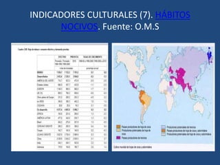 INDICADORES CULTURALES (2). ESCOLARIZACIÓN POR SEXOS Y ETAPAS. Fuente: PNUD