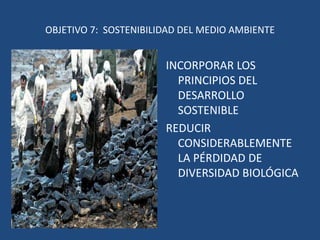SUBDESARROLLO DENTRO DEL DESARROLLO  (6). INDICADORES BIENESTAR? EN ESPAÑA. Fuente: INE