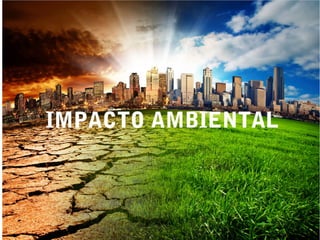 IMPACTO AMBIENTALIMPACTO AMBIENTAL
 