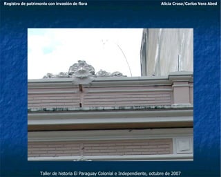 Taller de historia El Paraguay Colonial e Independiente, octubre de 2007 Registro de patrimonio con invasión de flora Alicia Crosa/Carlos Vera Abed 