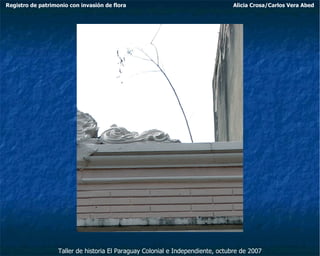 Taller de historia El Paraguay Colonial e Independiente, octubre de 2007 Registro de patrimonio con invasión de flora Alicia Crosa/Carlos Vera Abed 