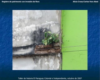 Taller de historia El Paraguay Colonial e Independiente, octubre de 2007 Registro de patrimonio con invasión de flora Alicia Crosa/Carlos Vera Abed 