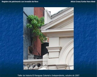 Taller de historia El Paraguay Colonial e Independiente, octubre de 2007 Registro de patrimonio con invasión de flora Alicia Crosa/Carlos Vera Abed 