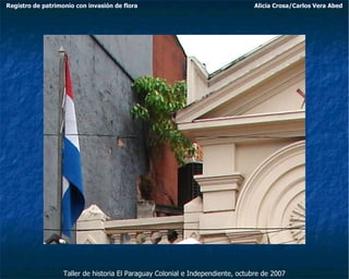 Taller de historia El Paraguay Colonial e Independiente, octubre de 2007 Registro de patrimonio con invasión de flora Alicia Crosa/Carlos Vera Abed 