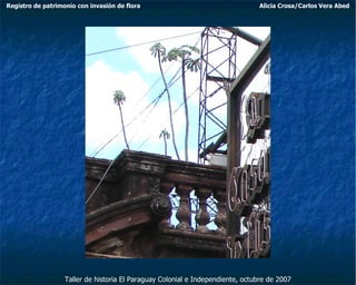 Taller de historia El Paraguay Colonial e Independiente, octubre de 2007 Registro de patrimonio con invasión de flora Alicia Crosa/Carlos Vera Abed 
