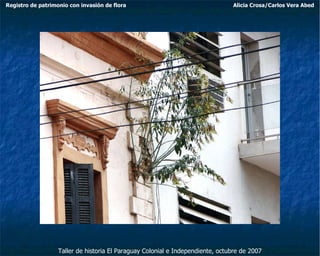 Taller de historia El Paraguay Colonial e Independiente, octubre de 2007 Registro de patrimonio con invasión de flora Alicia Crosa/Carlos Vera Abed 